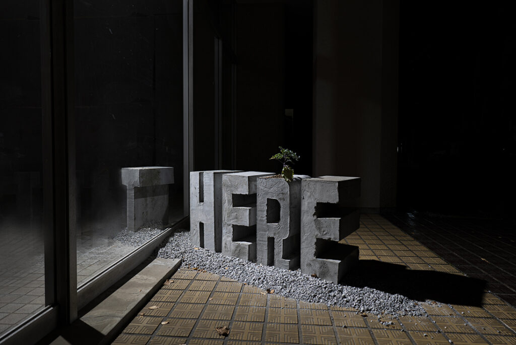Here, There, Home
